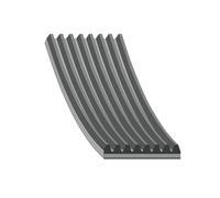 FEBI BILSTEIN 45303 Cinghia servizi