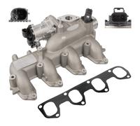FEBI BILSTEIN 45423 Valvola EGR con collettore aspirazione con guarnizione