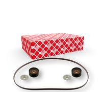 FEBI BILSTEIN 45964 Kit Cinghie Poly-V