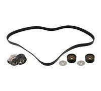 FEBI BILSTEIN 45969 Kit Cinghie Poly-V