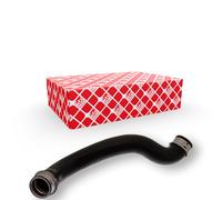 Tubo flessibile del radiatore FEBI BILSTEIN 45993 sinistro