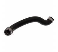 Tubo flessibile del radiatore FEBI BILSTEIN 45993 sinistro