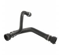 Ferdinand Bilstein Tubo radiatore 46036 EPDM (Etilene-Propilene-Diene-Caucciù) per BMW X5