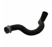 FEBI BILSTEIN Flessibile radiatore 46455 per Mercedes-Benz