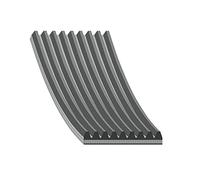 febi bilstein 47151 Cinghia ausiliaria, confezione da 1