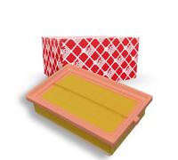 Febi Bilstein 47825 Vano Motore