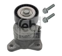 FEBI BILSTEIN 48750 Tendicinghia, Cinghia Poly-V per CHRYSLER,CITROËN,DODGE,JEEP
