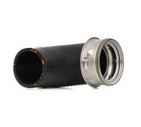 Febi 49248 Vano Motore