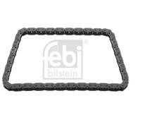 FEBI BILSTEIN 49519 Catena distribuzione per BMW,MINI
