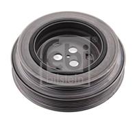 FEBI BILSTEIN 49589 Puleggia cinghia, Albero a gomiti per PEUGEOT Boxer