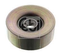 FEBI BILSTEIN 49793 Galoppino/Guidacinghia, Cinghia Poly-V per BMW,BMW (BRILLIAN