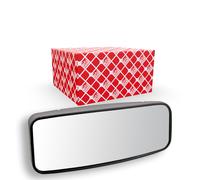 FEBI BILSTEIN 49953 Vetro specchio, Specchio esterno