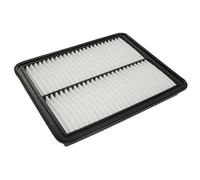BLUE PRINT ADG02246 Filtro aria motore Cartuccia filtro