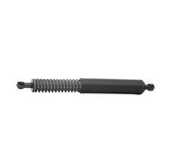 FEBI BILSTEIN Ammortizatore pneumatico, Cofano bagagli /vano carico 36209