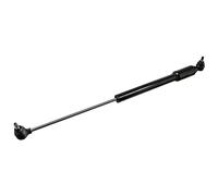 febi bilstein Ammortizzatore di sterzo 47609, confezione da 1