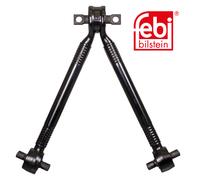 FEBI BILSTEIN Braccio Oscillante Sospensione Posteriore 170081