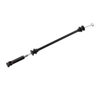 FEBI BILSTEIN Cavo comando Sblocco porta 193273