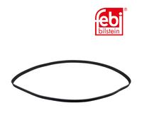 Febi BILSTEIN Cinghia per Audi A4 Cabriolet 8H7 B6 8HE B7 3.0 8E5 4B C5