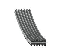 Cinghia trapezoidale multirighe EPDM (Etilene-Propilene-Diene-Caucciù) 34462