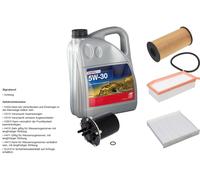 Febi BILSTEIN Controllo Set 5L Longlife Plus Custodia Per 5W-30 Dacia Logan MCV