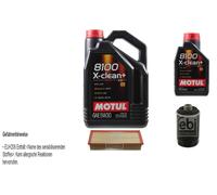 Febi BILSTEIN Controllo Set 6L Motul 8100 x-Pulire+5W30 per Per VW Golf VI