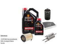 Febi BILSTEIN Controllo Set 6L Motul 8100 x-Pulire+5W30 per Seat Altea