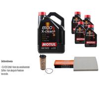 Febi BILSTEIN Controllo Set 9L Motul 8100 x-Pulire+5W30 per BMW X5 F15 F85