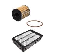 Febi BILSTEIN Controllo Set Filtri per Citroën C-Crosser Enterprise Di EP