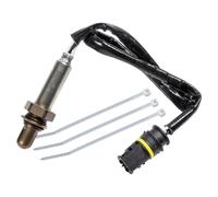 FEBI BILSTEIN Convertitore catalitico per sonda lambda, dopo, destra