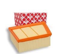 FEBI BILSTEIN 105705 Filtro aria