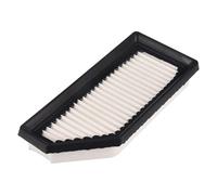 FEBI BILSTEIN 179740 Filtro aria motore Cartuccia filtro