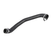 FEBI BILSTEIN 170774 Flessibile aria alimentazione