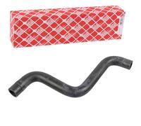 Flessibile Radiatore Febi Bilstein 171011 per Fiat Lancia