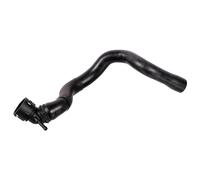 FEBI BILSTEIN 172966 Flessibile radiatore