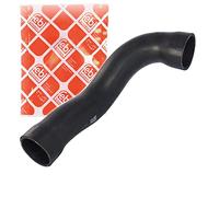 FEBI BILSTEIN Flessibile radiatore 37135 links oben | Compatibile con: BMW 3, 3 Cabriolet, 3 Compact, 3 Coupe, 3 Touring