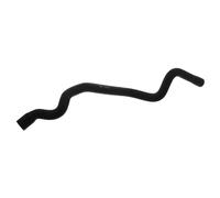 FEBI BILSTEIN Flessibile radiatore 37695 Compatibile con: MERCEDES-BENZ C-CLASS, C-CLASS T-Model, CLK, CLK Cabriolet