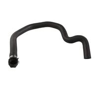 Febi Bilstein 40533 Raffreddamento Motore