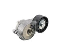 FEBI BILSTEIN Galet Tendeur Courroie Accessoire 1611424880