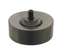 FEBI BILSTEIN Galoppino/Guidacinghia, Cinghia Poly-V 33170