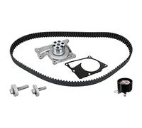 FEBI BILSTEIN 173163 Kit cinghia distribuzione, pompa acqua