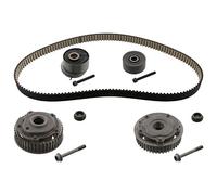 FEBI BILSTEIN Kit cinghie dentate 46541