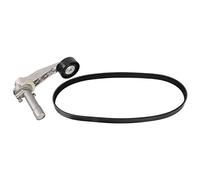 FEBI BILSTEIN 107424 Kit Cinghie Poly-V per CITROËN,DS,PEUGEOT