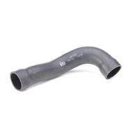 Tubo flessibile del radiatore FEBI BILSTEIN 37135 sinistro