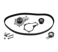 Ferdinand Bilstein Kit distribuzione con pompa acqua FE32726 plastica per Peugeot e Ford