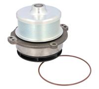 febi bilstein Pompa Dell'Acqua Con Guarnizione 172341