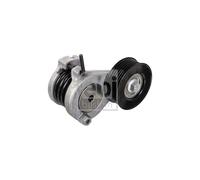 FEBI BILSTEIN Rinvio Tenditore Cinghia Accessori Per Hyundai i20 Active