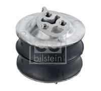 FEBI BILSTEIN 18065 Supporto motore