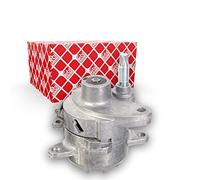 FEBI BILSTEIN Tendicinghia, Cinghia Poly-V 04001