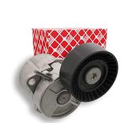 Tendicinghia Cinghia Poly V Febi Bilstein 09813 per Bmw