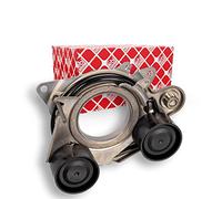 FEBI BILSTEIN Tendicinghia, Cinghia Poly-V 170248